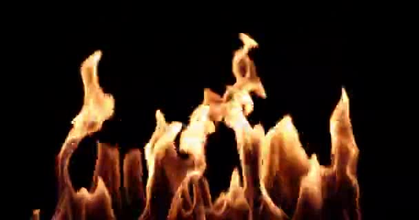 Wall Fire Zwarte Achtergrond Overlay — Stockvideo