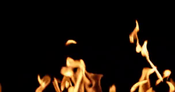 Вогонь Чорному Фоні Оверле — стокове відео