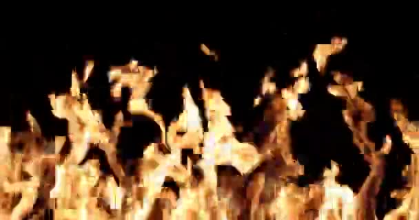 Wall Fire Black Background Overlay — ストック動画