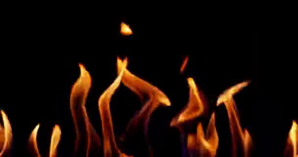 Wall Fire Zwarte Achtergrond Overlay — Stockvideo