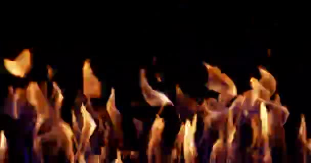 Wall Fire Black Background Overlay — ストック動画