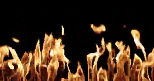 Wall Fire Black Background Overlay — ストック動画