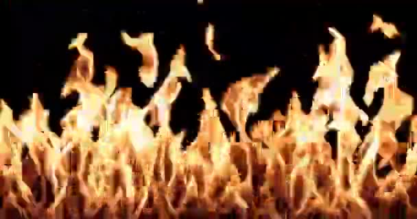Wall Fire Black Background Overlay — Stock Video