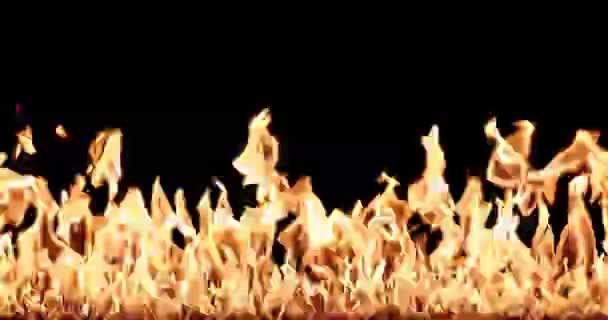 Wall Fire Black Background Overlay — ストック動画
