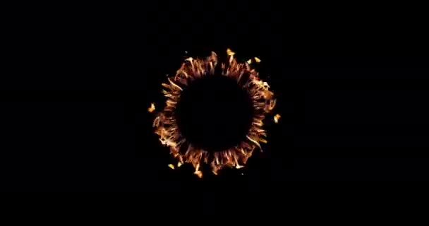 Огненное Кольцо Черном Фоне Накладывание — стоковое видео