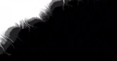 Mürekkep Matte Geçişi. Mürekkep damlaları. Mürekkep Açıklaması