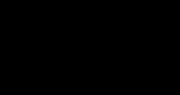 Анотація Ліплення Вогнів Світловий Тунель Штрибе Світло Цикл — стокове відео