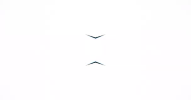 Abstrait Flickering Lights. Tunnel lumineux. Lumière stroboscopique. Boucle VJ 