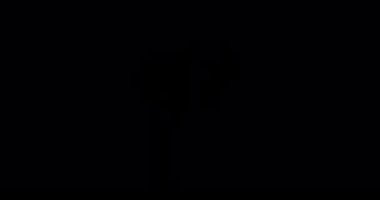 2D Enerji Fx. Fx çizgi filmi. Toon Fx. Flash Fx. Oyun perileri. 2d Oyun Varlıkları