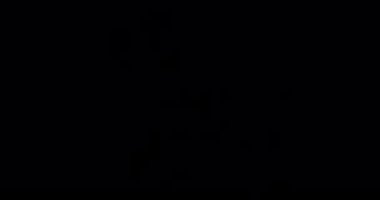 2D Sıvı Fx. Fx çizgi filmi. Toon Fx. Flash Fx. Oyun perileri. 2d Oyun Varlıkları