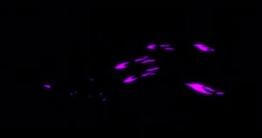 2d Stroke Fx. Fx çizgi filmi. Toon Fx. Flash Fx. Oyun perileri. 2d Oyun Varlıkları