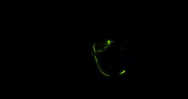 2d Swish Fx. Fx çizgi filmi. Toon Fx. Flash Fx. Oyun perileri. 2d Oyun Varlıkları