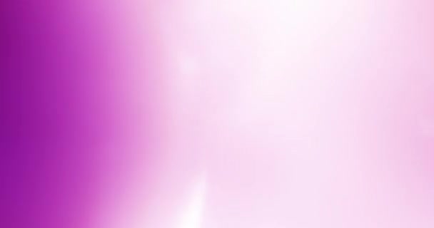 Neon Light Leaks Black Background Англійською Оверле Перехід Відеофільтри Кольорів — стокове відео