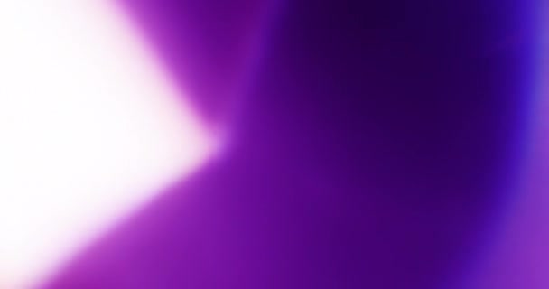 Neon Light Leaks Black Background Sobreposição Transição Filtros Cor Vídeo — Vídeo de Stock