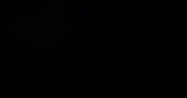 Amber Light Kara Arkaplanda Sızıntı Yapıyor. Üst üste koy. Dönüşüm. Video Renk Filtreleri