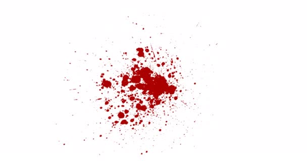 Verfplons Red Paint Splatter Spatpakje — Stockvideo