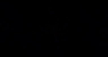 Soyut Yeşil Lazer Işıkları. Lazer Tüneli. Strobe Lights. Vj Döngüsü