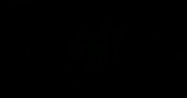 Soyut Yeşil Lazer Işıkları. Lazer Tüneli. Strobe Lights. Vj Döngüsü