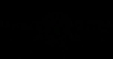 Soyut Yeşil Lazer Işıkları. Lazer Tüneli. Strobe Lights. Vj Döngüsü