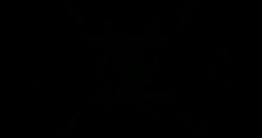 Soyut Yeşil Lazer Işıkları. Lazer Tüneli. Strobe Lights. Vj Döngüsü