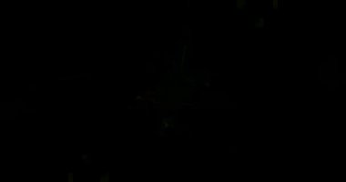 Soyut Yeşil Lazer Işıkları. Lazer Tüneli. Strobe Lights. Vj Döngüsü