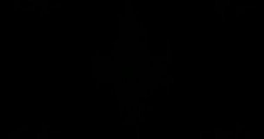 Soyut Yeşil Lazer Işıkları. Lazer Tüneli. Strobe Lights. Vj Döngüsü