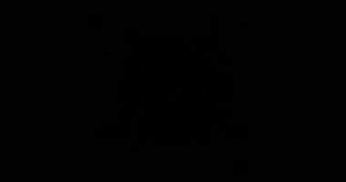 Soyut Sarı Lazer Işıkları. Lazer Tüneli. Strobe Lights. Vj Döngüsü