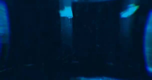 概要青色レーザー光 レーザートンネル ストローブライトVjループ — ストック動画
