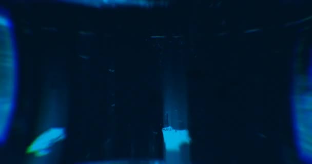 Abstrakte Blaue Laserlichter Lasertunnel Stroboskopleuchten Schleife — Stockvideo