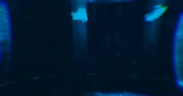 Abstraktní Modrá Laserová Světla Laserový Tunel Strobe Lights Smyčka — Stock video