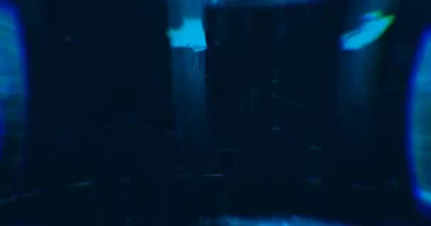 Lumières laser bleues abstraites. Tunnel laser. Lumières stroboscopiques. Boucle VJ 