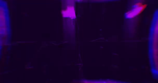 Lampes laser violettes abstraites. Tunnel laser. Lumières stroboscopiques. Boucle VJ 