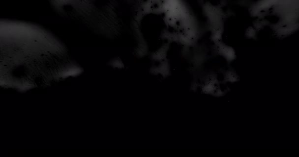 Фильм Грайм Оверлей Эффекты Старого Кино Царапины Сгоревшие Пленки — стоковое видео