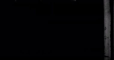 Film Grime Overlay. Eski Film Efektleri. Çizikler. Yanmış Film Şeridi