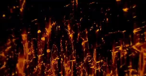Líder Cine Film Strip Burns Super 8Mm Burned Film Strip — Vídeos de Stock