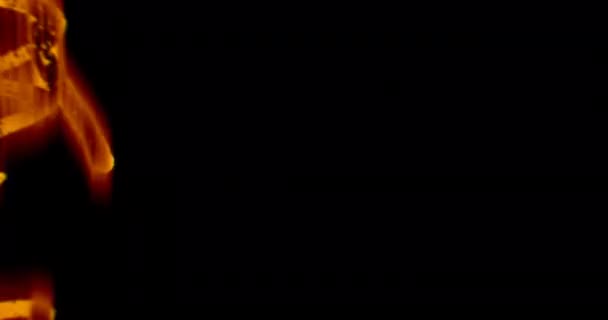 映画監督 映画ストリップ バーンズ スーパー8Mm焼きフィルムストリップ 古い映画効果 オーバーレイ — ストック動画