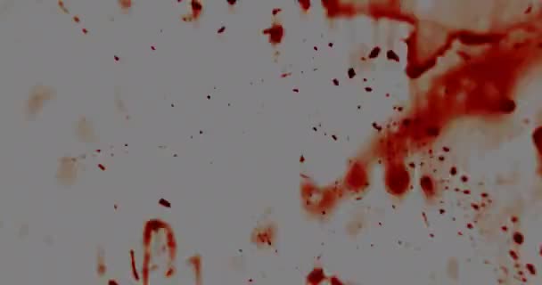 Chef de film. Film Strip Burns. Rusty Film Strip. Vieux effets de film. Superposition. Transition .