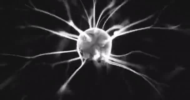 Experimentos Energía Estilo Blanco Negro Retro Luces Plasma Brujería — Vídeo de stock