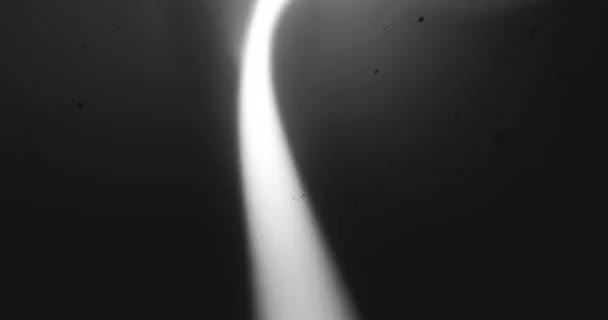 Experimentos Energía Estilo Blanco Negro Retro Luces Plasma Brujería — Vídeo de stock