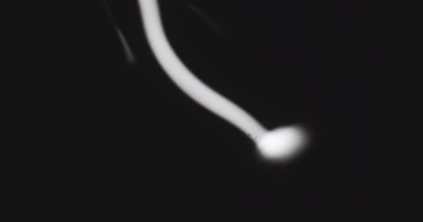 Енергетичні Експерименти Ретро Чорний Білий Стиль Світло Плазми Чарівництво — стокове відео