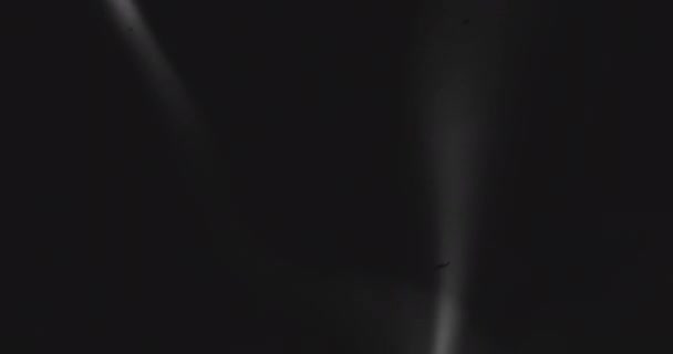 能量实验 复古的黑白风格 等离子灯 魔法术 — 图库视频影像