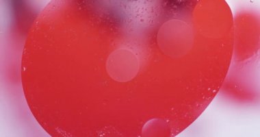 Makro Videoda Renkli Yağ Arkaplanı