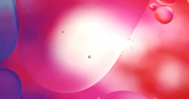 Motion Drops Beautiful Bright Background Fluid Art — Stock Video