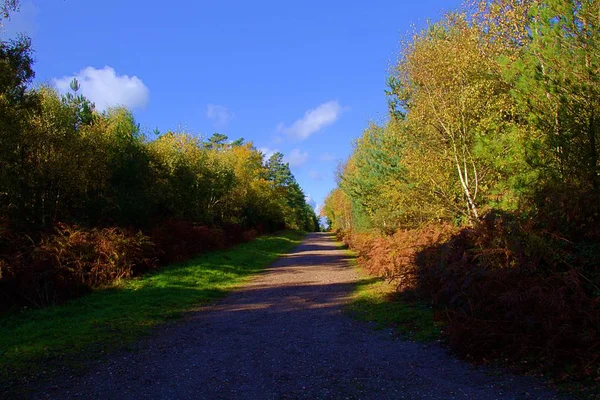 Breiter Weg Der Die Ferne Führt — Stockfoto