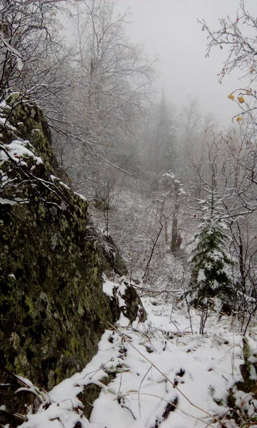 Karlı Dağ Yolu Aşağı Iniyor — Stok fotoğraf