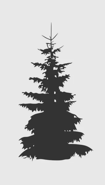 Coniferous tree silhouette. Fir tree silhouette isolated on white background. — Stock Vector