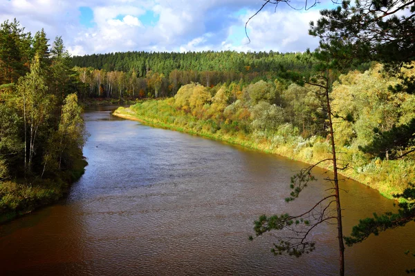 Baltic river valley — Stock Photo, Image