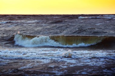 Baltık Denizi Dalgaları