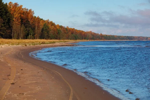 Morgenlandschaft eines baltischen Ufers — Stockfoto