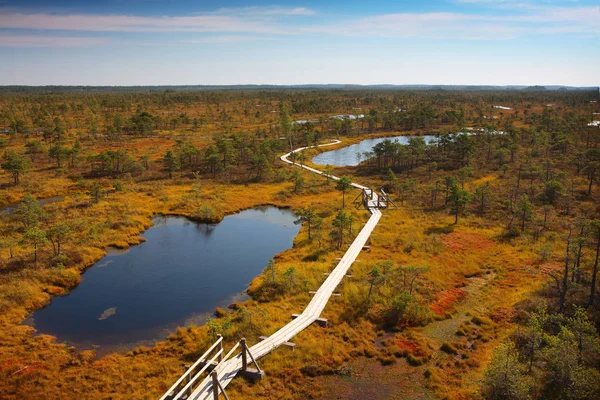 Camino de madera en pantano báltico — Foto de Stock